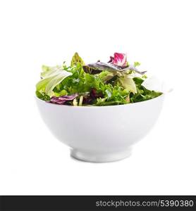 Green leaves salad in a bowl on the white