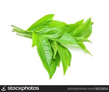 green leaves tea isolated on white background.