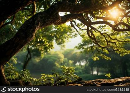 Green Leaves Tree Branch with Sun Shines Through Tree Crowns in Forest on Bright Day