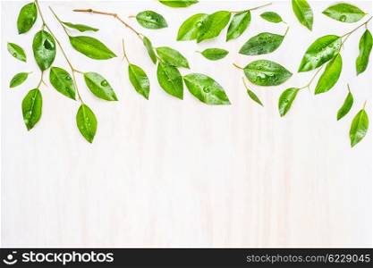 Green leaves with dew drops , border or pattern on white wooden background, top view. Ecology, organic or nature concept