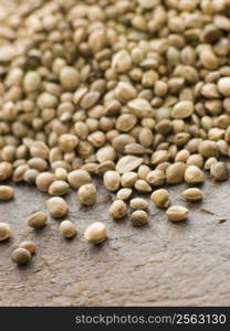 Green lentils,puy lentils