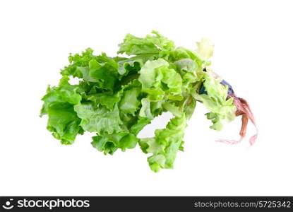 Green Lettuce isolated on white
