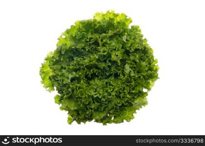 Green lettuce isolated on white background.