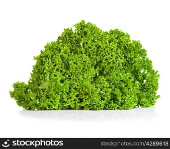 green lettuce isolated on white background