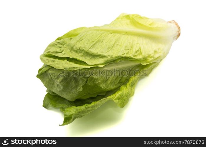 green lettuce on a white background