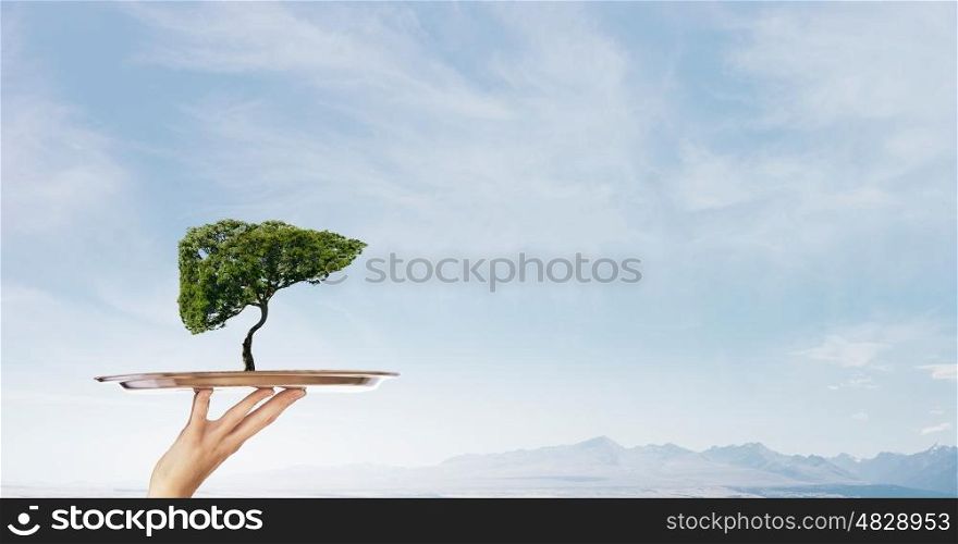Green life on tray. Environmental concept with hand hold tray with green tree