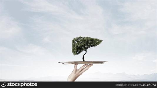 Green life on tray. Environmental concept with hand hold tray with green tree
