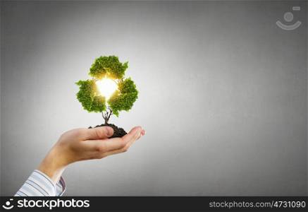 Green life protection. Ecology concept represented by human hand holding with care green tree