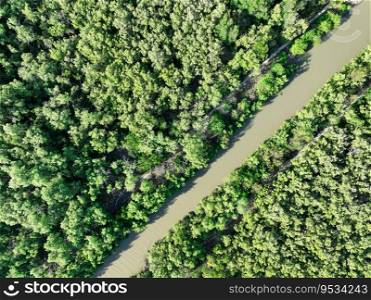 Green mangrove forest with canal of sea water. Mangrove ecosystem. Natural carbon sinks. Mangroves capture CO2 from the atmosphere. Blue carbon ecosystems. Mangroves absorb carbon dioxide emissions.