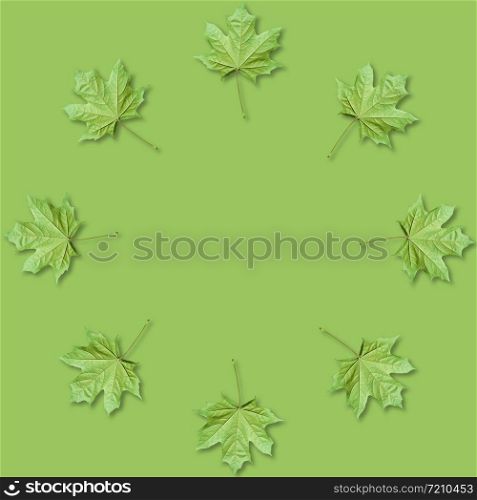 Green Maple leaves organized in round frame on green background with copy space. Fall background.. Maple leaves organized in round frame with copy space. Fall background.