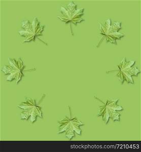Green Maple leaves organized in round frame on green background with copy space. Fall background.. Maple leaves organized in round frame with copy space. Fall background.