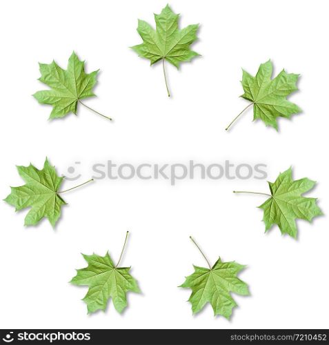 Green Maple leaves organized in round frame with copy space. Fall background.. Maple leaves organized in round frame with copy space. Fall background.