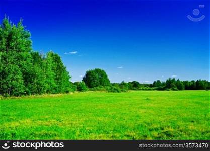 green meadow