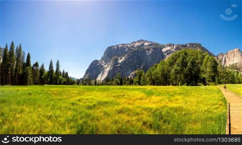 Green meadow and pine trees surrounded by rocky mountains at Yosemite National Park, California USA. Meadow and trees surrounded by rocky mountains