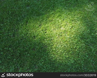 green meadow background. green meadow grass with spot of light