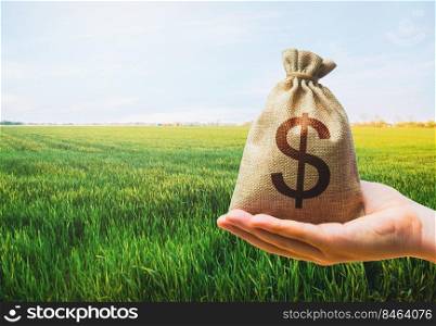 Green meadow field of young wheat and dollar money bag. World hunger. Grains cereals deficits. Starvation, famine. Agroindustry and the agricultural business. World food security crisis, high prices.