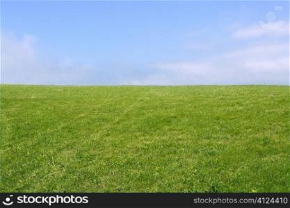 Green meadow horizon and blue sky tranquil landscape scene