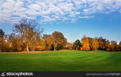 Green meadow in autumn park, trees with colorful foliage, panorama. Forest with red leaves, nature landscape in sunny day. Green meadow in autumn park, panorama