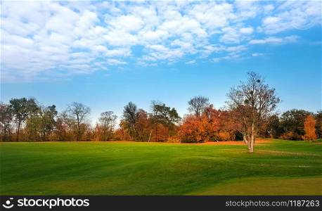 Green meadow in autumn park, trees with colorful foliage, panorama. Forest with red leaves, nature landscape in sunny day. Green meadow in autumn park, panorama