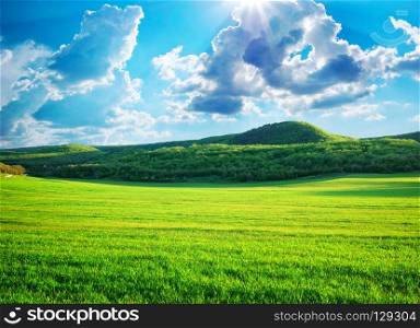  Green meadow in mountain. Composition of nature.