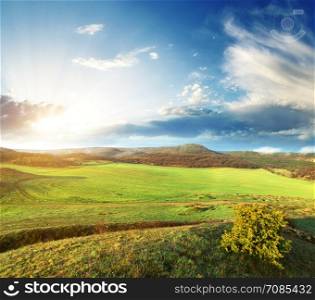 Green meadow in mountain. Composition of nature.