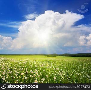 Green meadow in mountain. Composition of nature. . Green meadow in mountain.