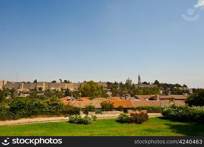 Green Meadow on the Background of the Ancient Walls of Jerusalem