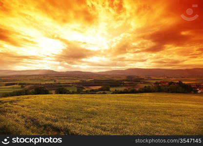 Green meadow under sunset sky with clouds