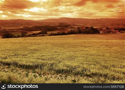 Green meadow under sunset sky with clouds