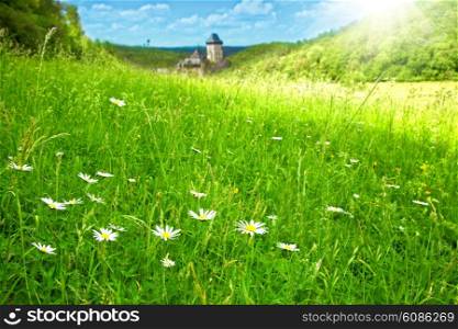 green meadow with camomile on castle Karlstein background