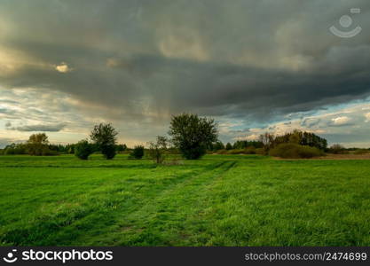 Green meadow with road and rain cloud, Nowiny, Lubelskie, Poland