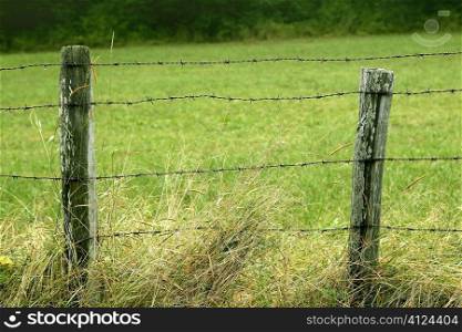 Green meadow with wired rural fence and wooden poles