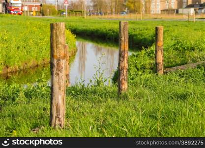 Green meadows and canal at sunset in the Netherlands