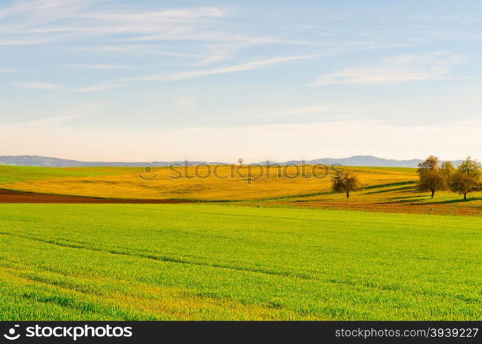 Green Meadows and Plowed Fields on the Hills of Switzerland