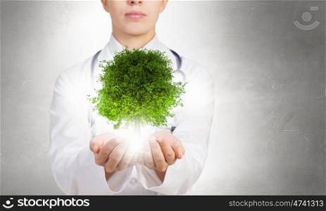 Green medicine for health. Close up of female doctor holding green tree in hands