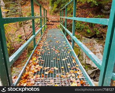 Green metal bridge in autumn covered with fallen leaves from trees. Front view