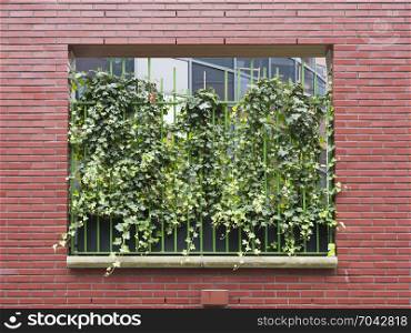 green metal fence with ivy in red brick wall opening