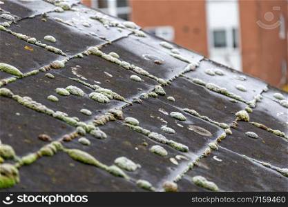 Green moss and frost on residential slate roof tiles