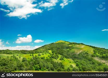 Green mountain covered with forest on the blue sky background