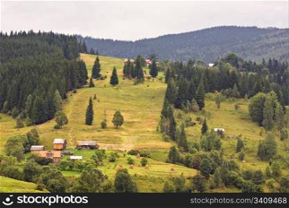 green mountain farmland. Carpathian mountain, Ukraine