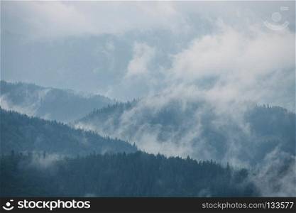 Green mountain forest in cloudy and rainy dark moody weather, Smoky mountains national park, USA. Green mountain forest in cloudy and rainy dark moody weather