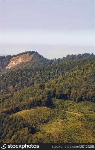 Green mountain forest landscape. beautiful nature with alpine meadows in Bihor, Romania.