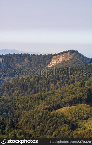 Green mountain forest landscape. beautiful nature with alpine meadows in Bihor, Romania.