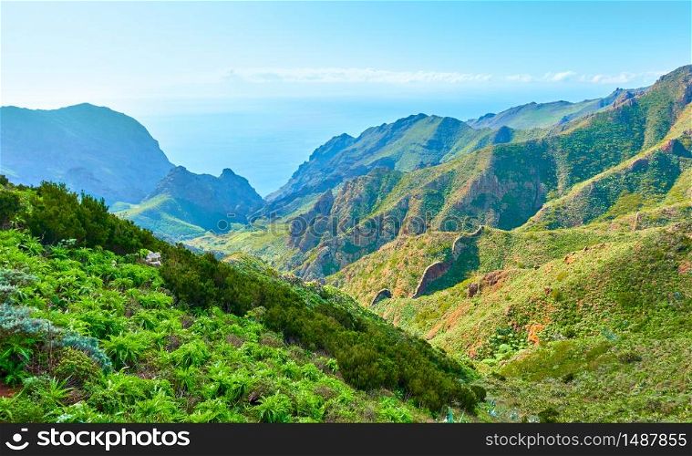 Green mountains in Tenerife, The Canary Islands, Spain