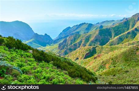 Green mountains in Tenerife, The Canary Islands, Spain
