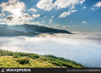 Green mountains in the clouds. Landscape view on green hills in fog at sunset. Green mountains in the clouds