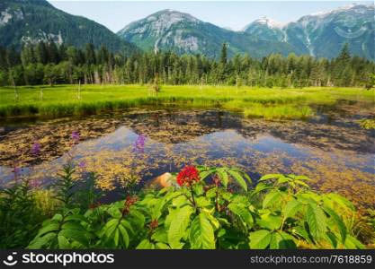 Green mountains meadow and pond at summer season