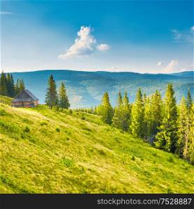 Green mountains with house in pine forest at sunset sun light