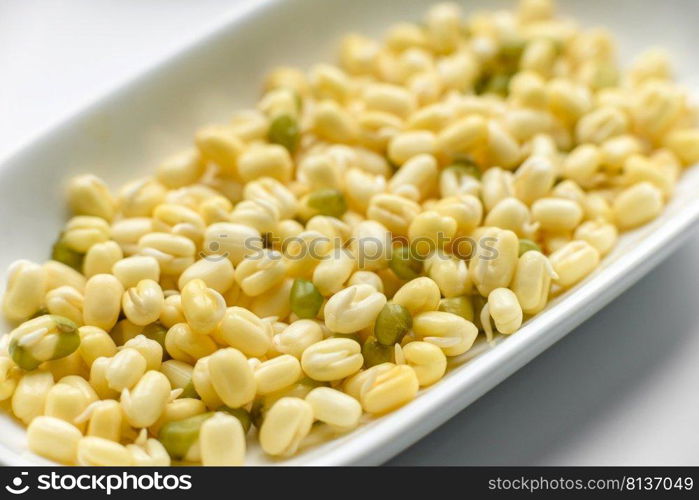 Green mung beans in a bowl on a dark concrete table. Legume plant for a healthy diet. Organics fresh Baby Green Bean Sprouts in white ceramic bowl on a dark concrete background