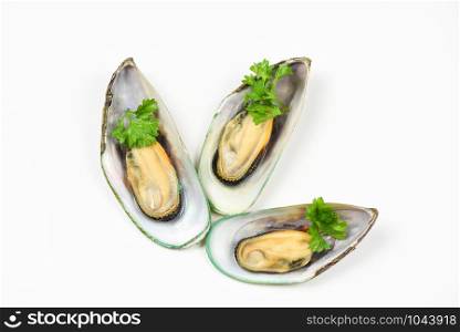 Green mussel shell with parsley / Mussels isolated on white background